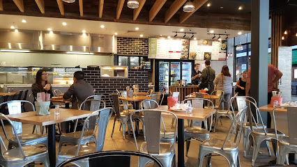 Schnitz Orion Springfield